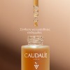 Caudalie Self-Tan Sun Drops – Συμπυκνωμένες Σταγόνες Αυτομαυρίσματος & Λάμψης Προσώπου 30ml