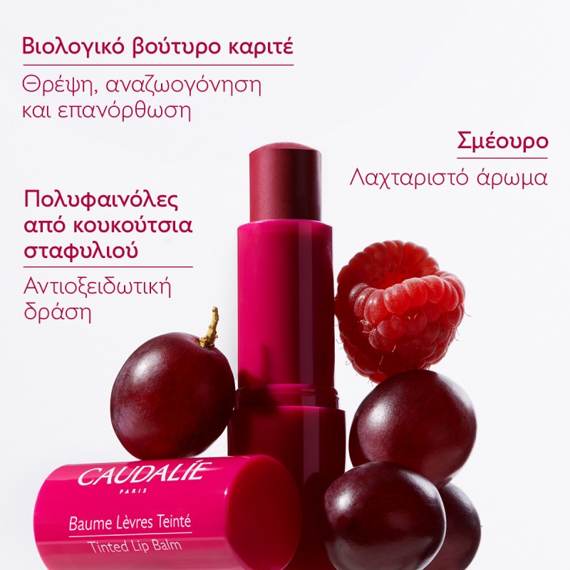 Caudalie Vinotherapist Tinted Lip Balm (4.5g)