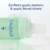 Caudalie Vinoclean Daily Foaming Cleanser (50ml)