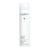 Caudalie Grape Water Mist Ενυδατικό Σπρέι Προσώπου, 300ml