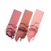 Mon Reve Blush On! 02 Earthy