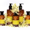 Apivita Daily Shampoo, Σαμπουάν Καθημερινής Χρήσης με Χαμομήλι & Μέλι 500ml
