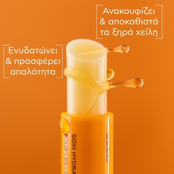 Apivita Lip Care Bio Eco με Μέλι 4.4 g