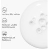 The Ordinary Rise Lipids & Ectoin Microemulsion 60ml