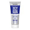 Frezyderm Icy After Sun, Υδρογέλη Αποκατάστασης του Δέρματος μετά τον ήλιο για Πρόσωπο και Σώμα, 200ml