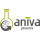 aniva