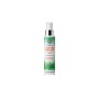 Garden Hair And Body Mist Powerful Ginger 100 ml