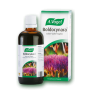 A.Vogel Boldocynara Drops 50ml