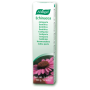 A.Vogel Echinacea Toothpaste 100gr