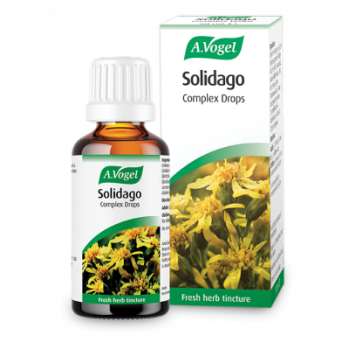 A.Vogel Nephrosolid (Solidago) Φυτικό συμπλήρωμα διατροφής για τη φυσιολογική λειτουργία των νεφρών 50ml  