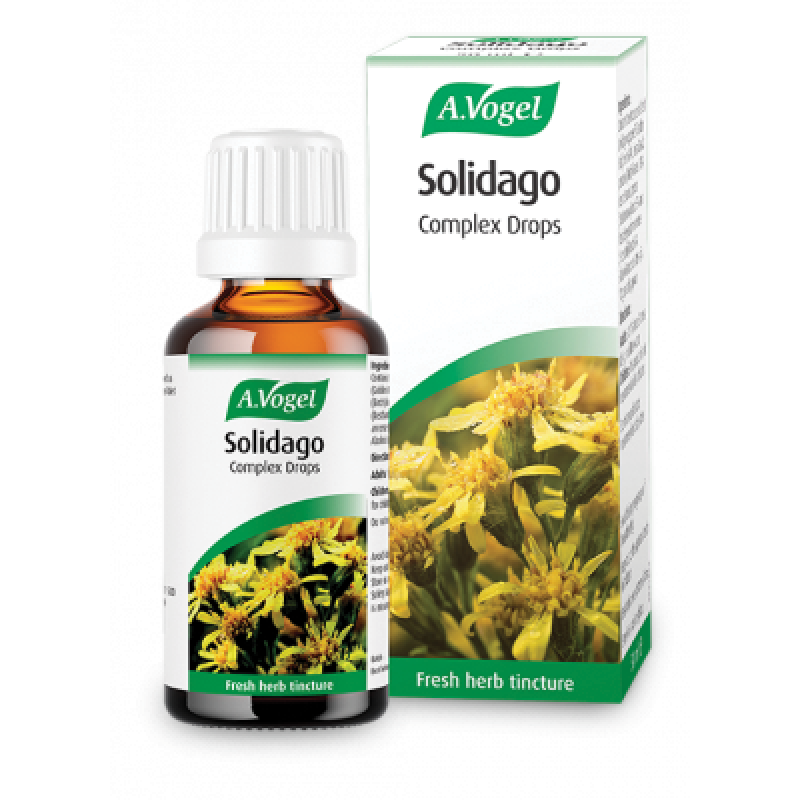 A.Vogel Nephrosolid (Solidago) Φυτικό συμπλήρωμα διατροφής για τη φυσιολογική λειτουργία των νεφρών 50ml  